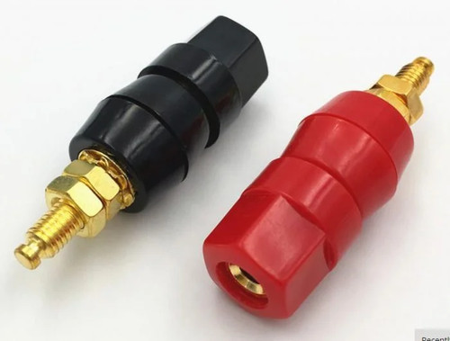 Pair large gold - large, speaker